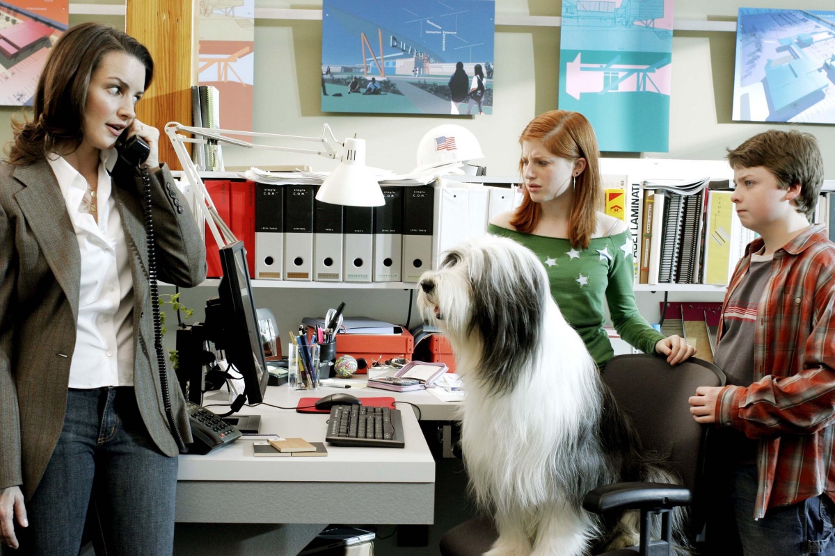 Кадры из Лохматый папа (2006)