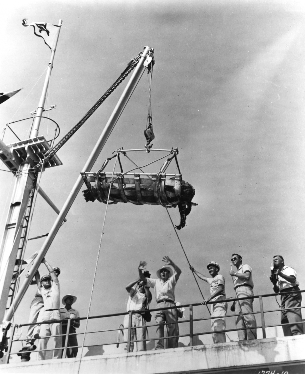 Кадры из Месть Твари (1955)