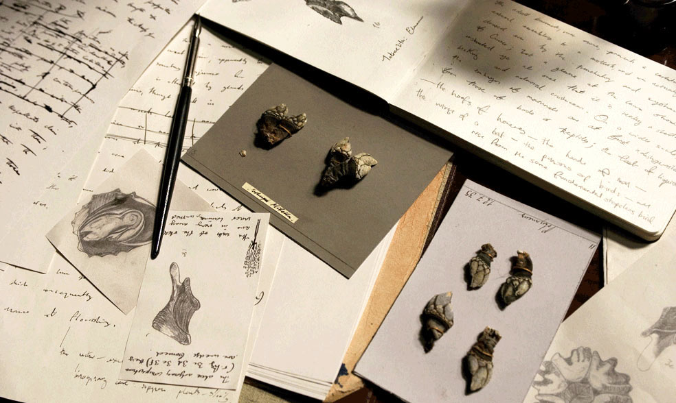 Происхождение (2009)