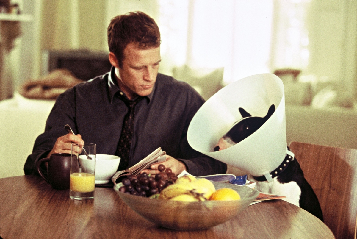 Кин Эдди (2003)