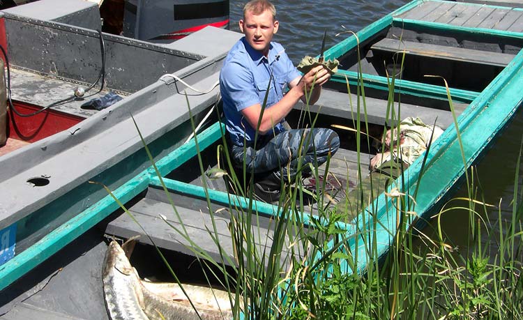 Хозяйка тайги (2009)