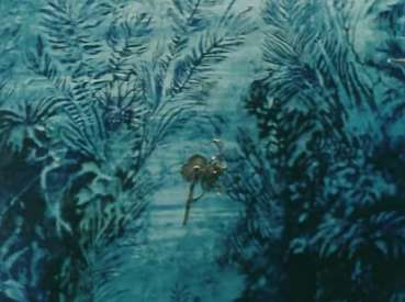 Кадры из Паучок Ананси и волшебная палочка (1973)