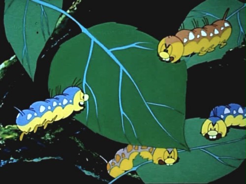 Мария, Мирабела (1981)