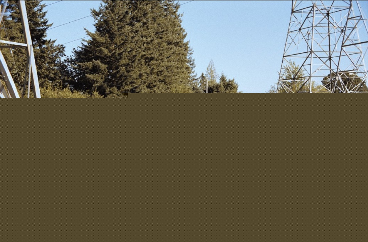 Кадры из Жестокий ручей (2004)