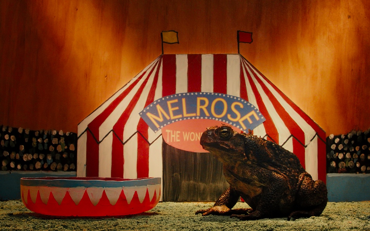 Кадры из Тростниковые жабы: Оккупация (2010)