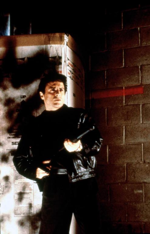 Коготь тигра 2 (1996)