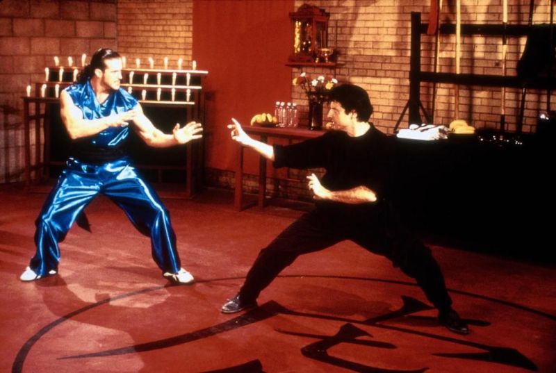 Коготь тигра 2 (1996)