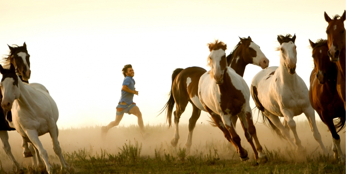 Кадры из В диких условиях (2007)