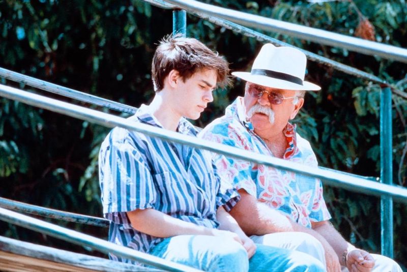 Кадры из Кокон 2: Возвращение (1988)