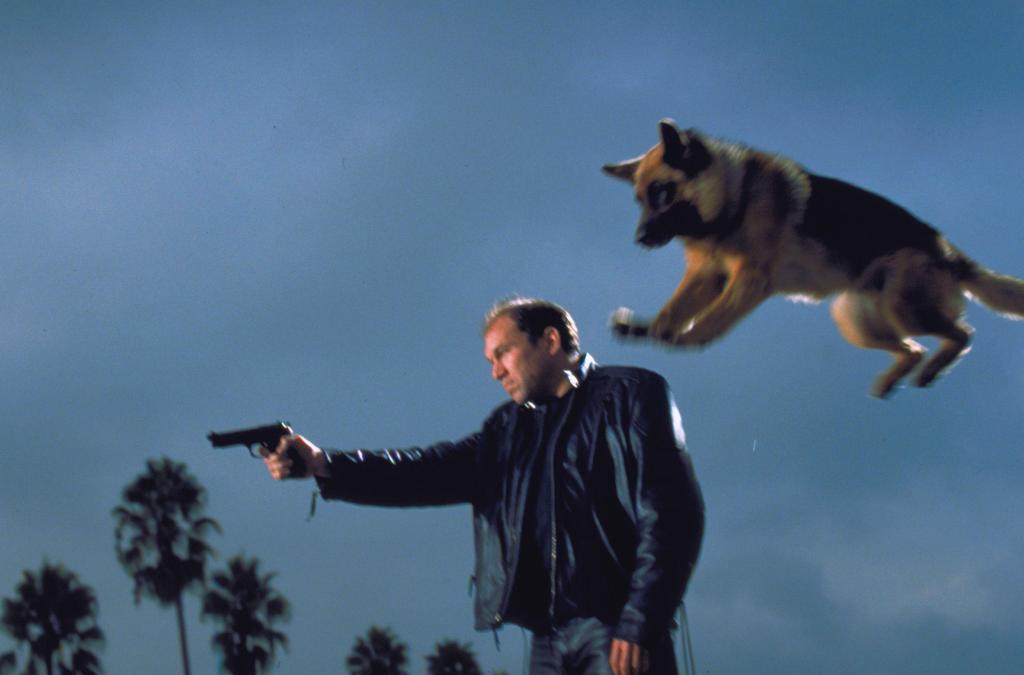 Кадры из К-911: Собачья работа 2 (2000)