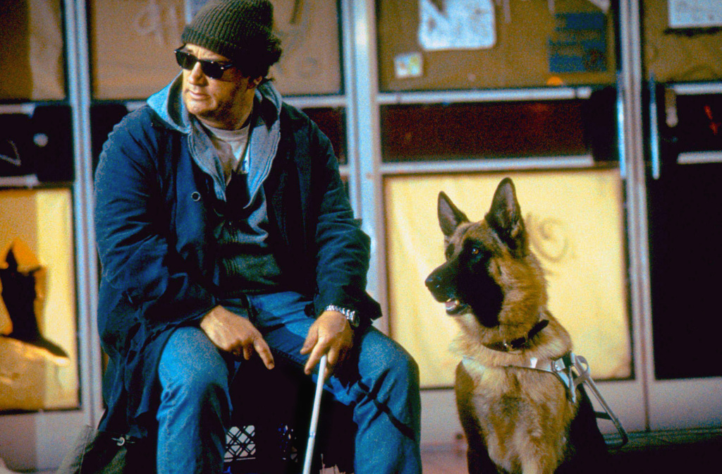 Кадры из К-9 III: Частные детективы (2002)