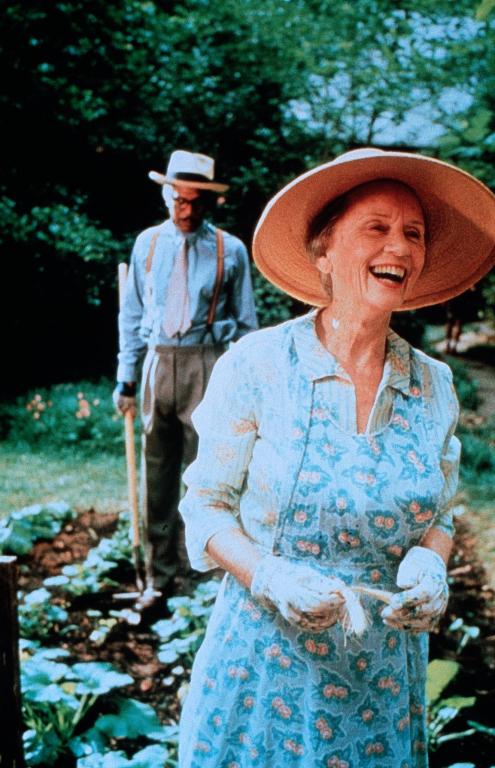 Кадры из Шофер мисс Дэйзи (1989)