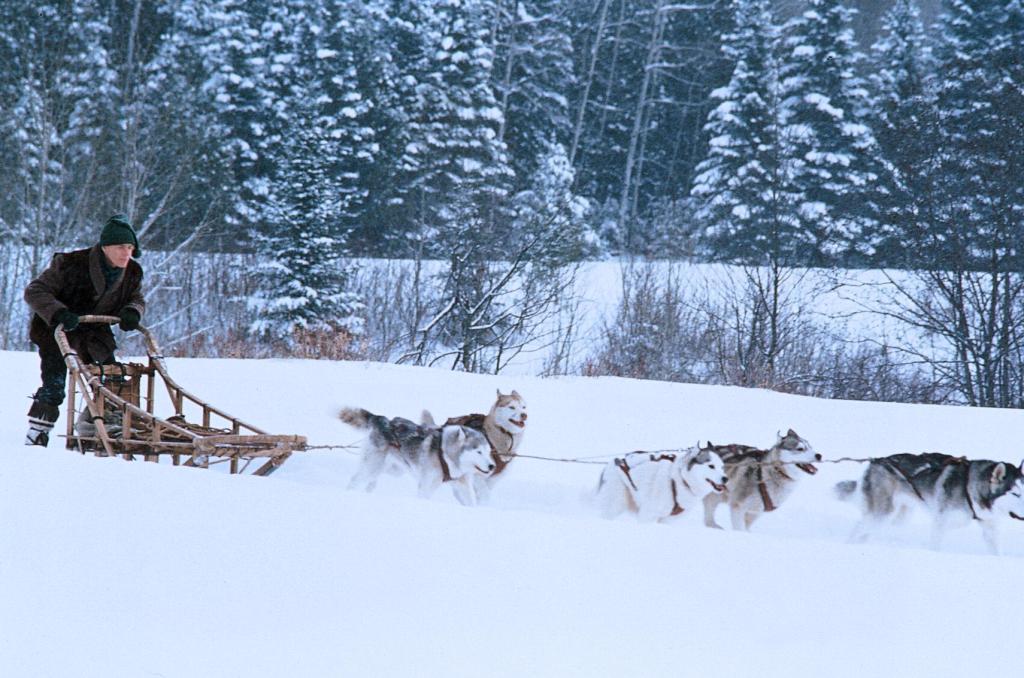 Кадры из Железная воля (1994)