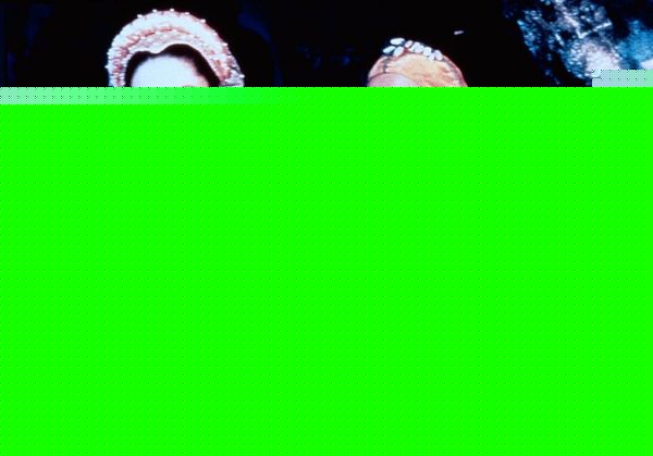 Кадры из Фантагиро, или Пещера золотой розы 5 (1996)