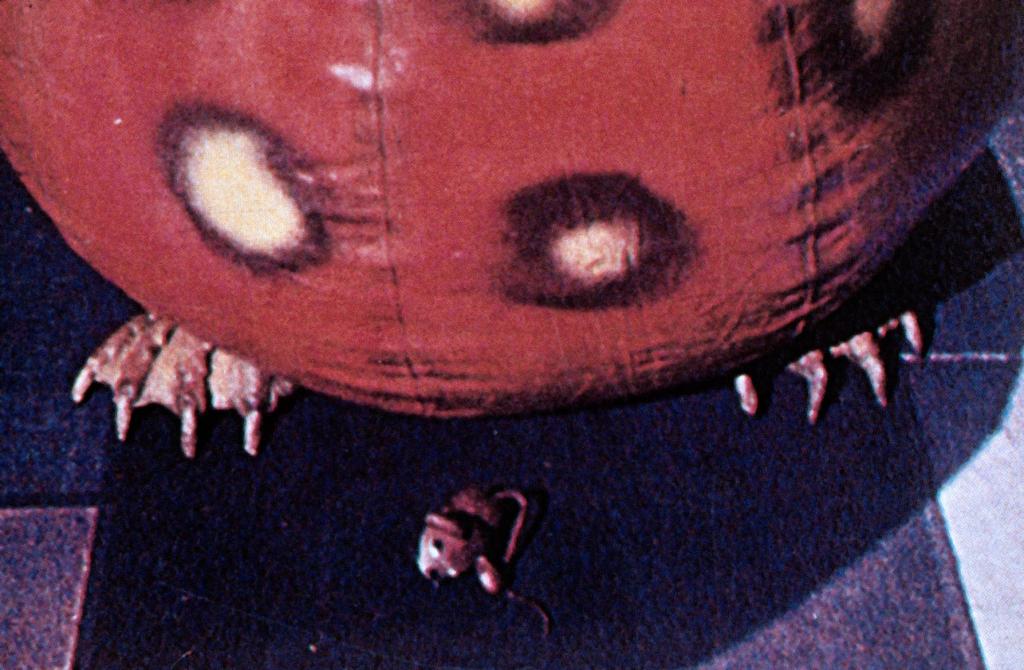 Кадры из Тёмная Звезда (1977)