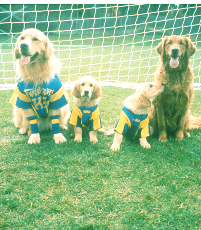 Кадры из Король воздуха: Лига чемпионов (2000)