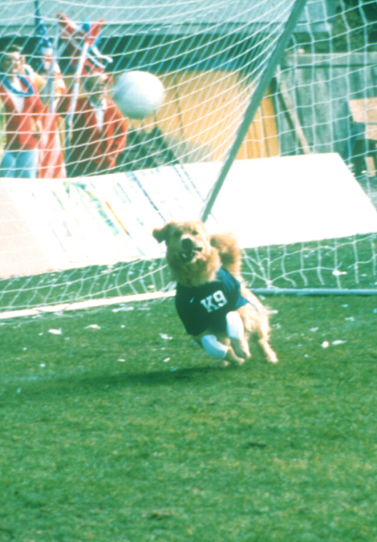 Кадры из Король воздуха: Лига чемпионов (2000)