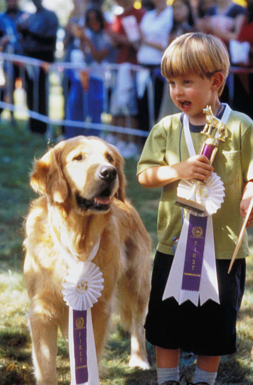 Кадры из Король воздуха: Возвращение (2003)