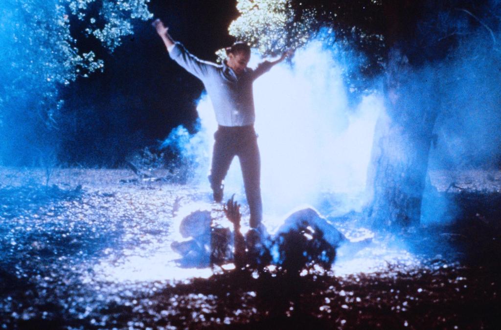 Инопланетянин в чужом теле (1991)