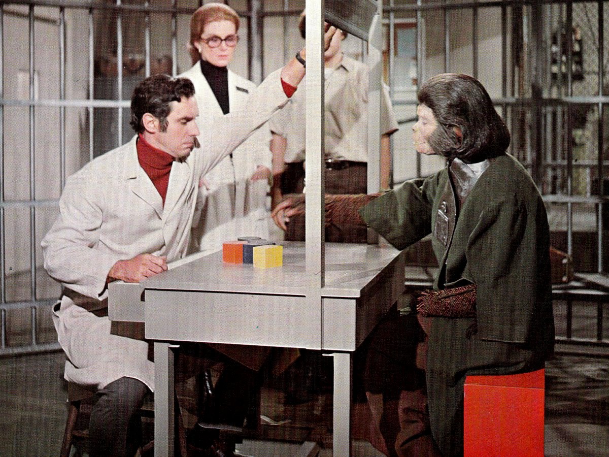Кадры из Бегство с планеты обезьян (1971)