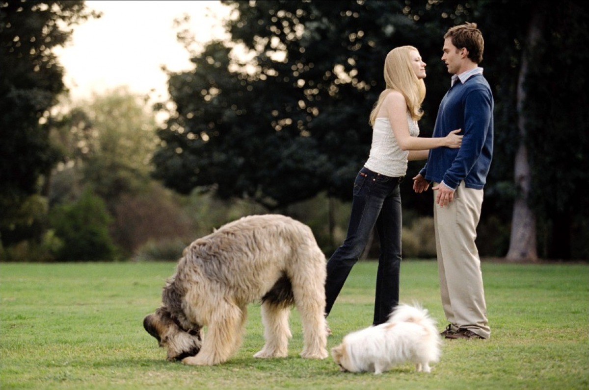 Кадры из Американский пирог 3: Свадьба (2003)