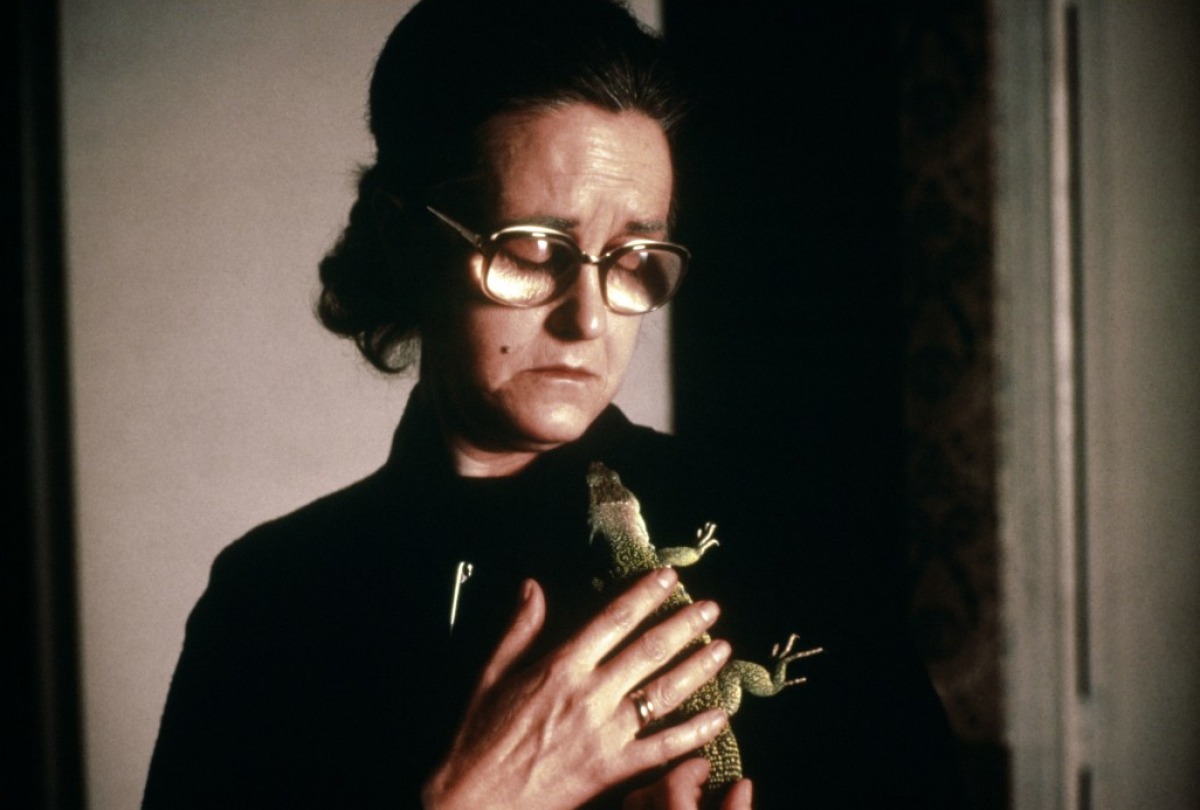 Кадры из За что мне это? (1984)