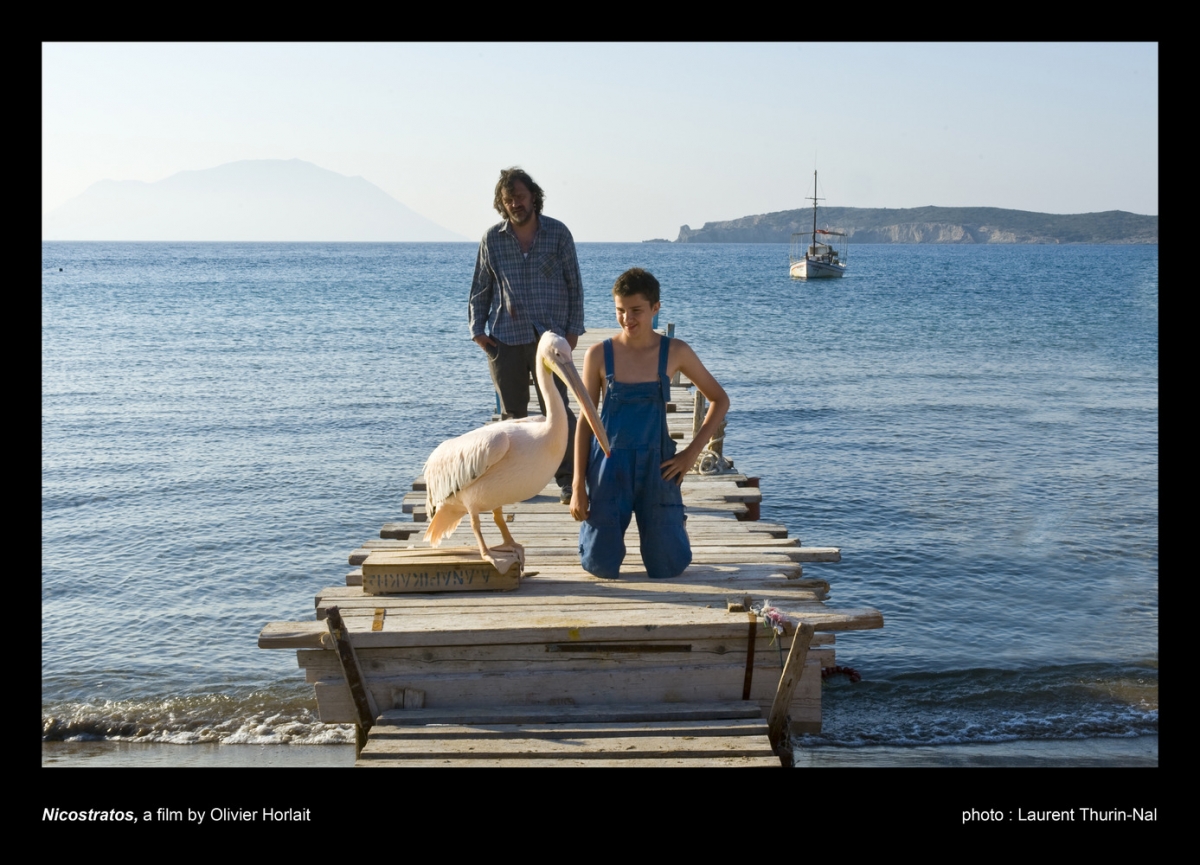 Кадры из Пеликан (2011)