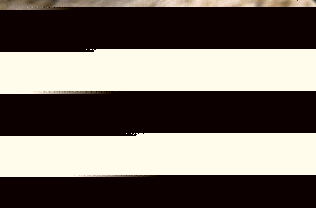 Только не без моей дочери (1991)