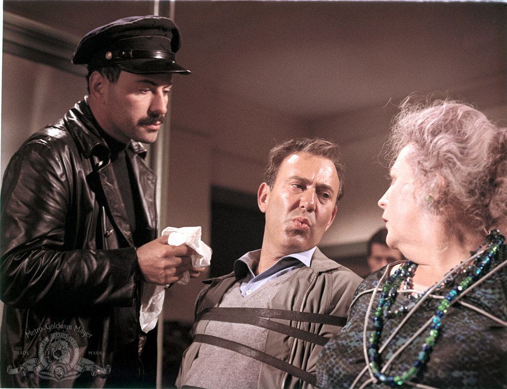 Русские идут! Русские идут! (1966)