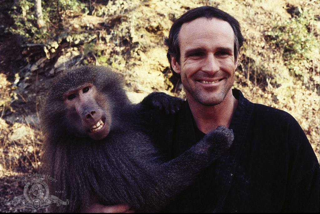 Поверженный идол (1986)