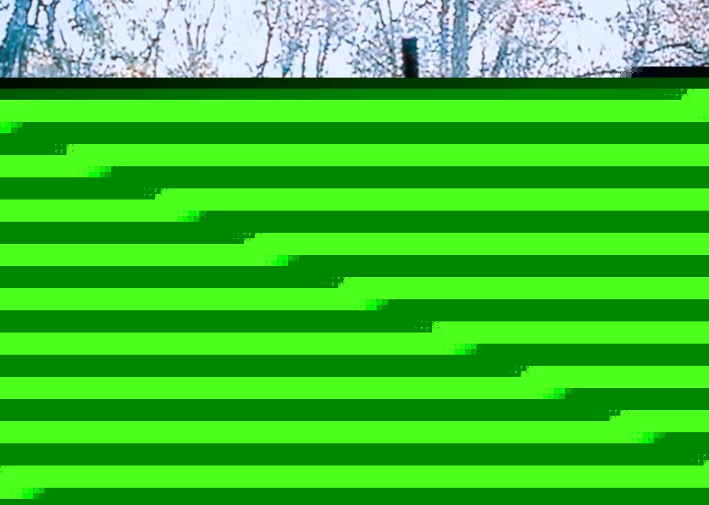 Кадры из Ведьма из Блэр: Курсовая с того света (1999)