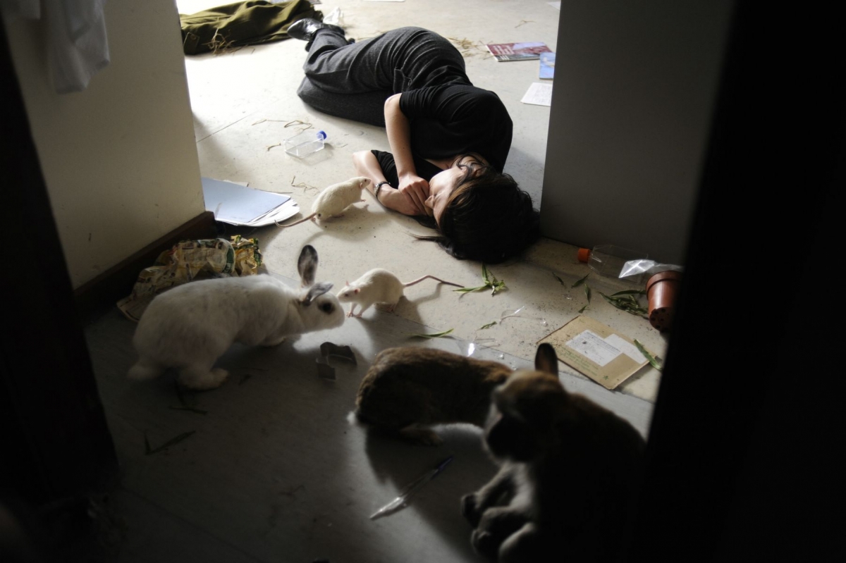 Последняя любовь на земле (2011)