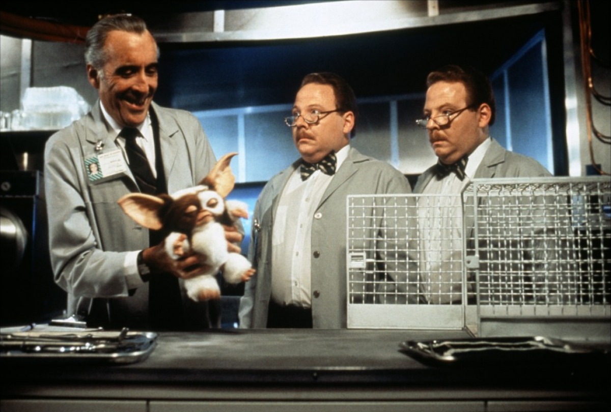 Кадры из Гремлины 2: Новенькая партия (1990)