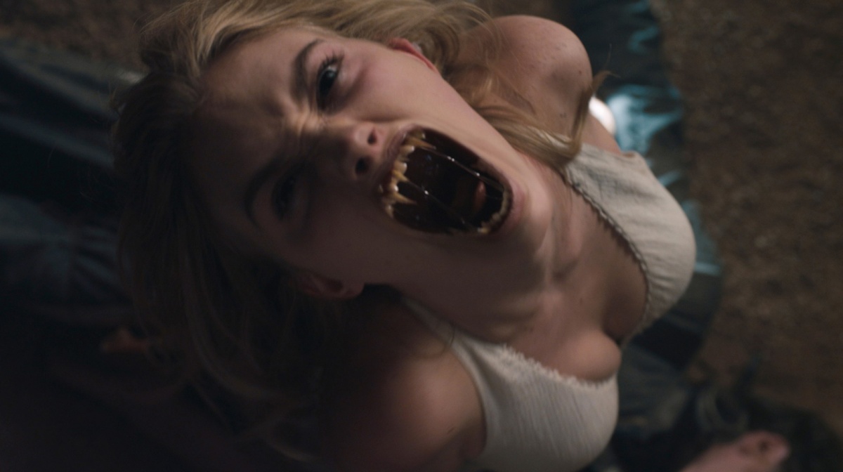 Кадры из Ночь страха (2011)