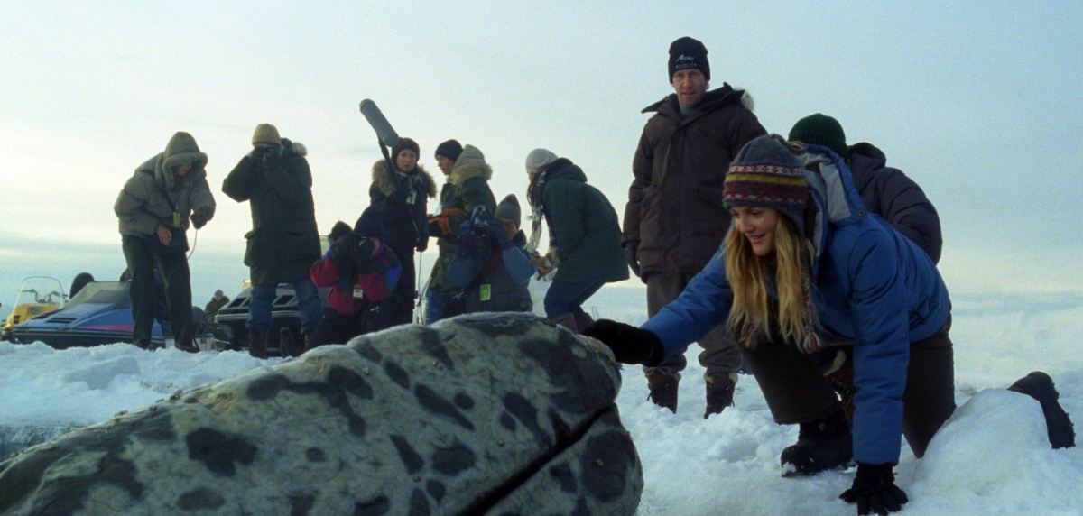 Кадры из Все любят китов (2012)