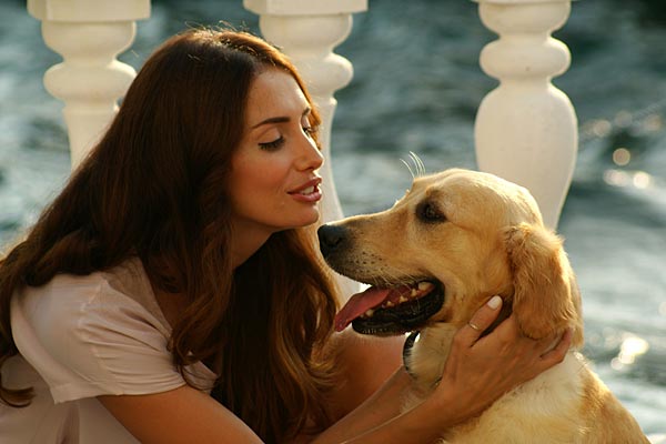 Пора тюльпанов (2010)