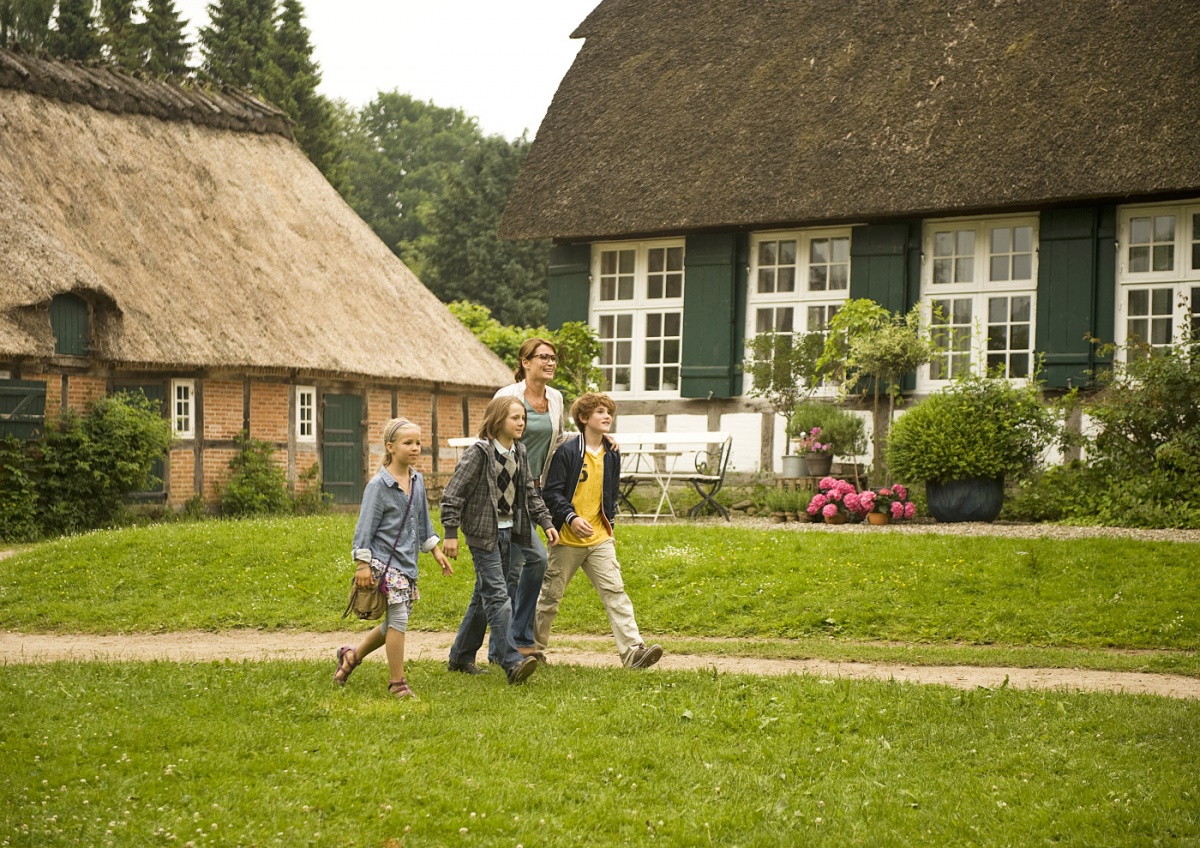 Пятеро друзей (2012)