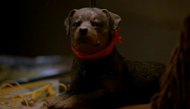 Кадры из Дом 4 (1992)