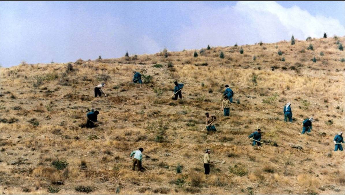 Кадры из Вкус вишни (1997)