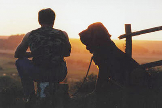 Кадры из Участок (2003)