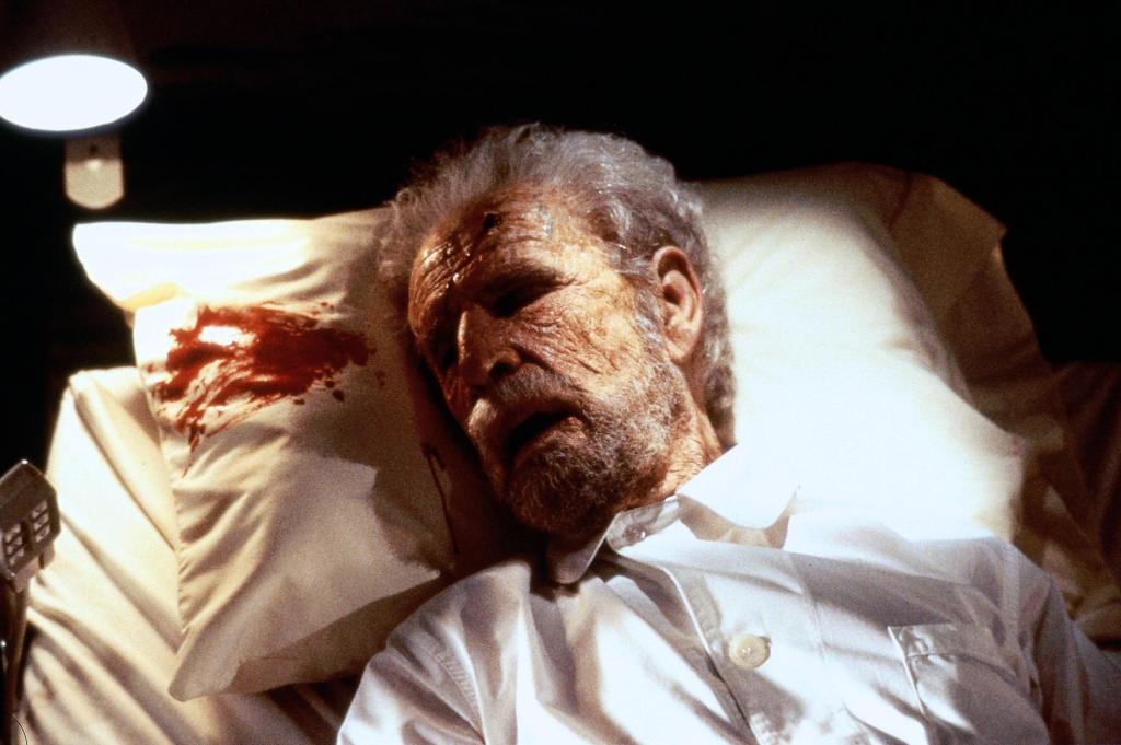 Кадры из Дело о пеликанах (1993)