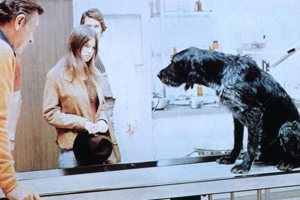 Веселушка (1973)