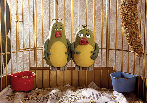 Кадры из В мире животных (2003)