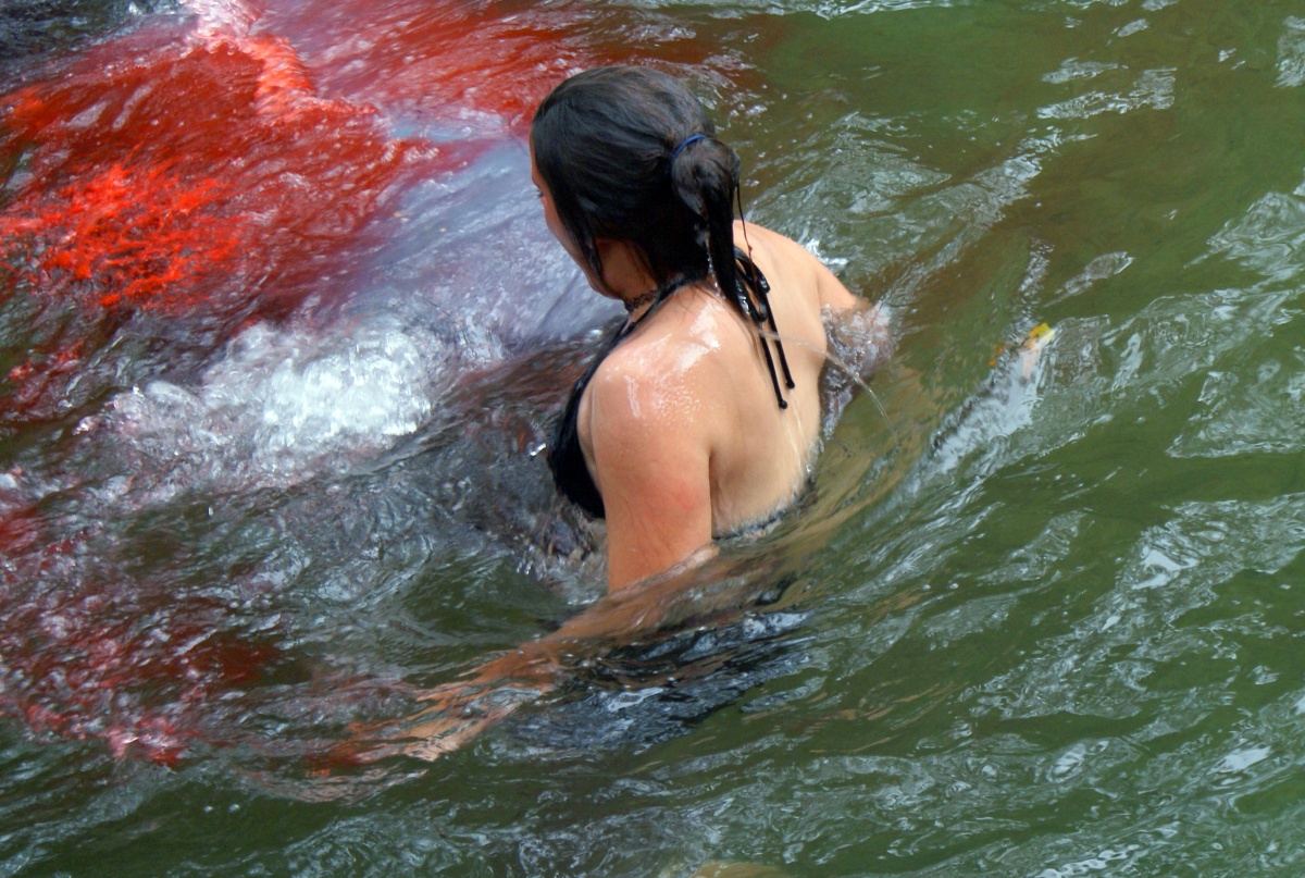 Акулосьминог (2010)