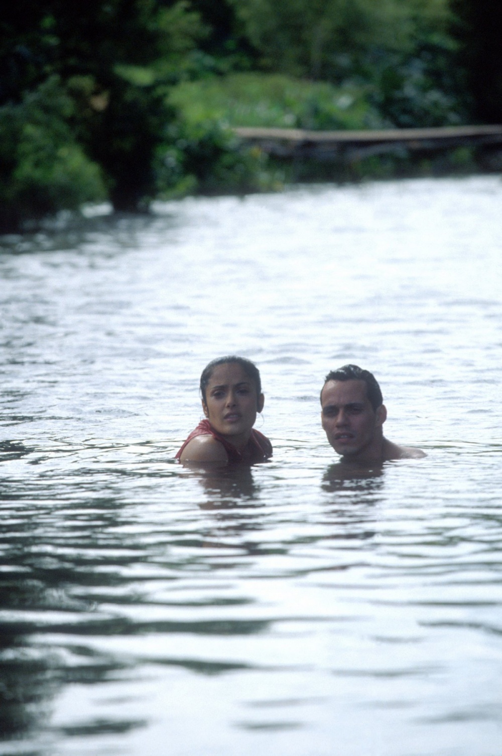 Кадры из Времена бабочек (2001)