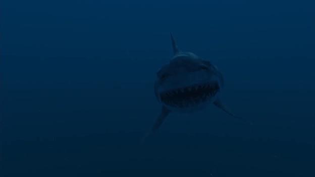 Супер-акула (2011)