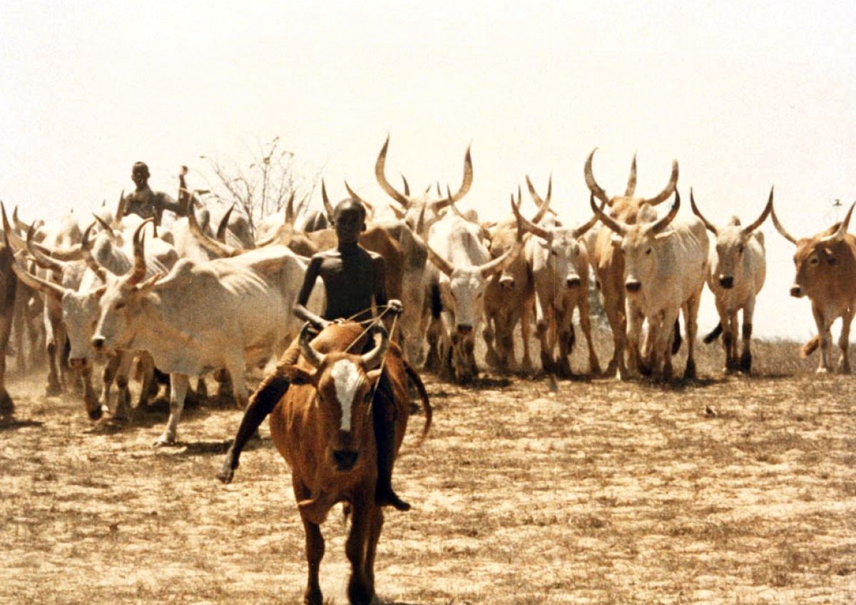 Туки-Буки (1976)