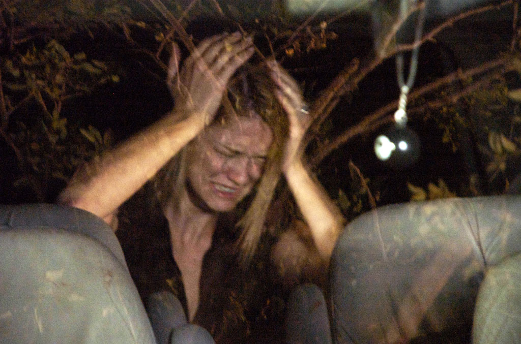 Медведь (2010) Медведь (2010)