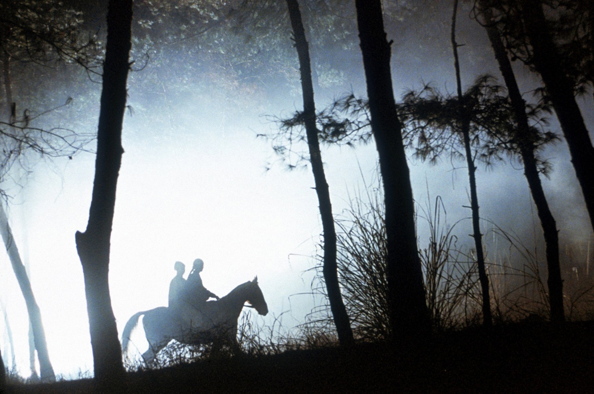 Кадры из Эра вампиров (2003)