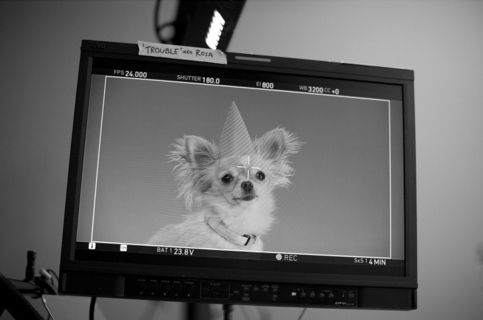 Кадры из Крошка из Беверли-Хиллз 3 (2012)